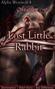 Lost Little Rabbit