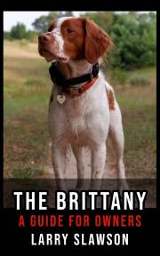 The Brittany