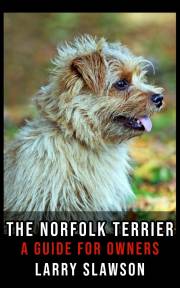 The Norfolk Terrier
