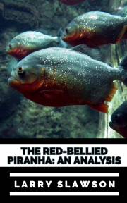 The Red-Bellied Piranha