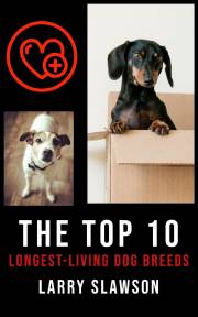 The Top 10 Longest-Living Dog Breeds