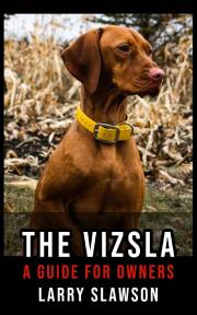 The Vizsla