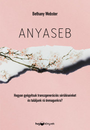 Anyaseb