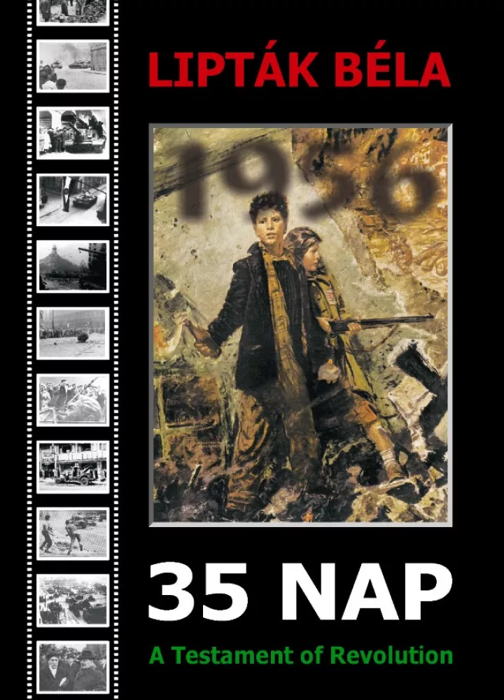 35 nap borító