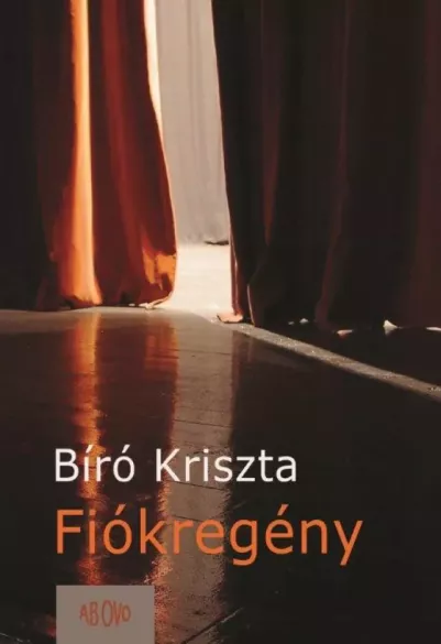 Fiókregény borító