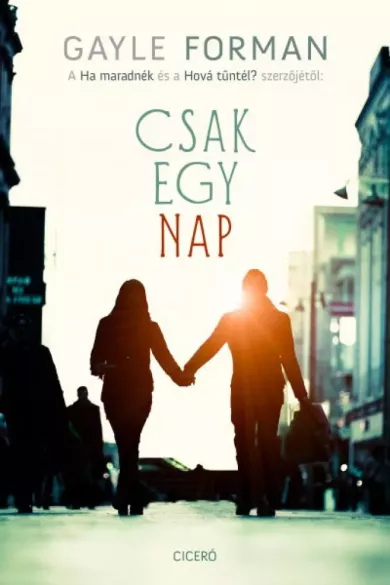 Csak egy nap borító