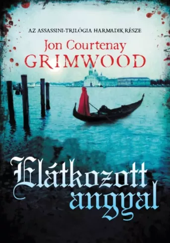 Elátkozott angyal borító