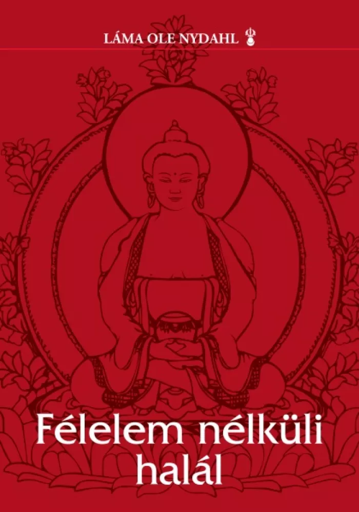 Félelem nélküli halál borító