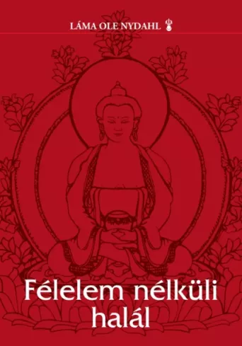 Félelem nélküli halál borító