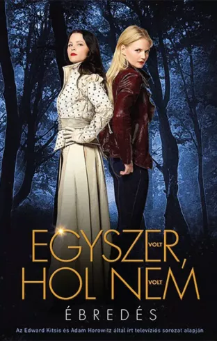 Egyszer volt, hol nem volt borító