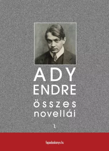 Ady Endre összes novellái I. kötet borító