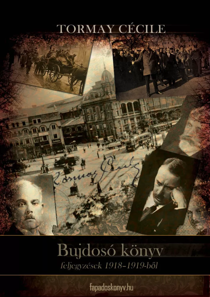 Bujdosó könyv borító