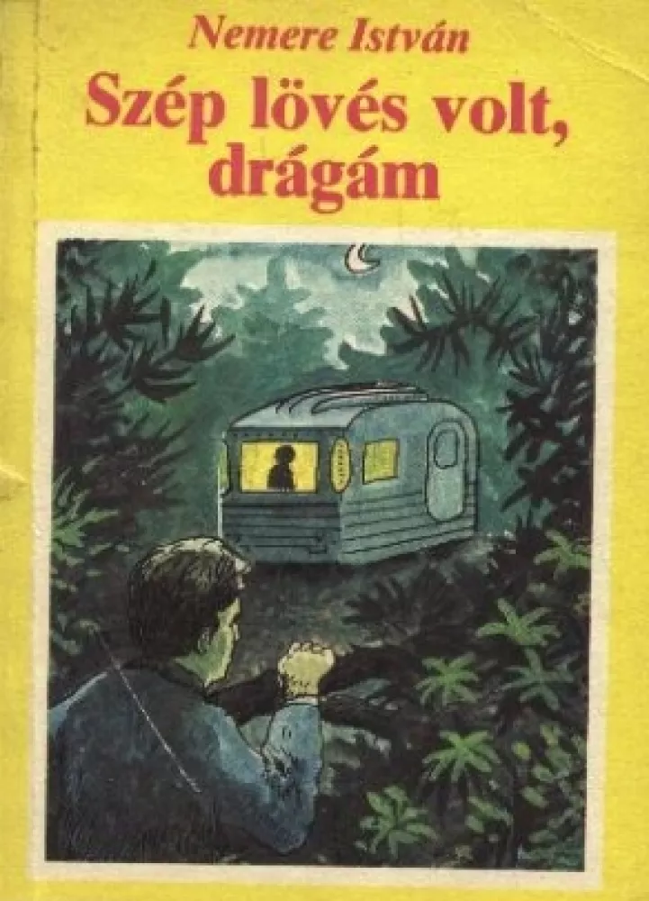 Szép lövés volt, drágám! borító