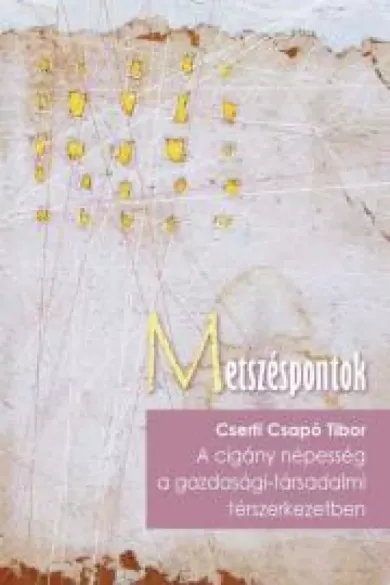 A cigány népesség a társadalmi-gazdasági térszerkezetben borító