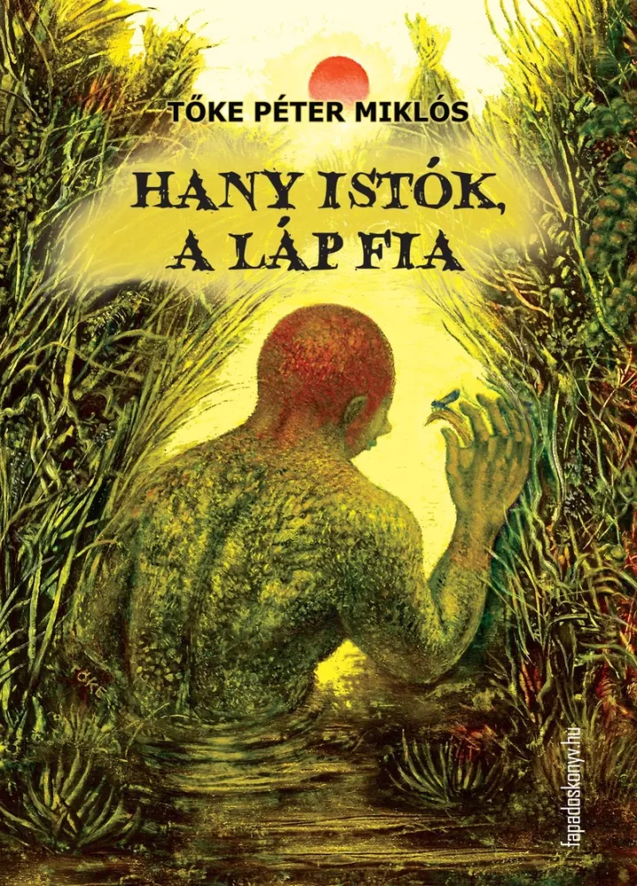 Hany Istók, a láp fia borító