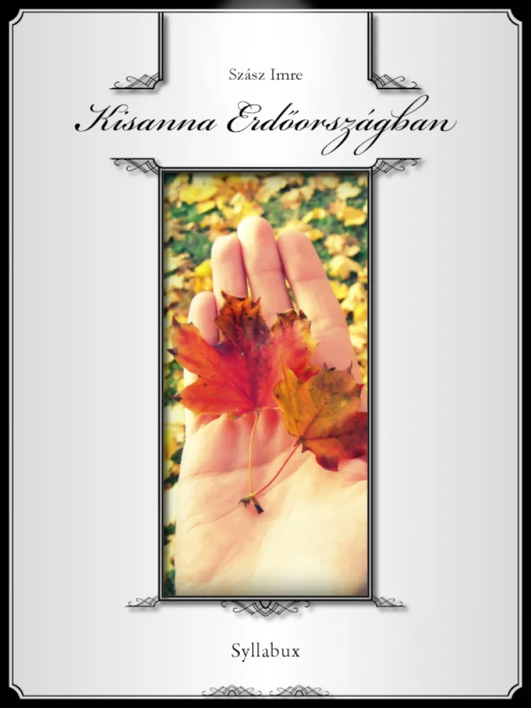 Kisanna Erdőországban borító