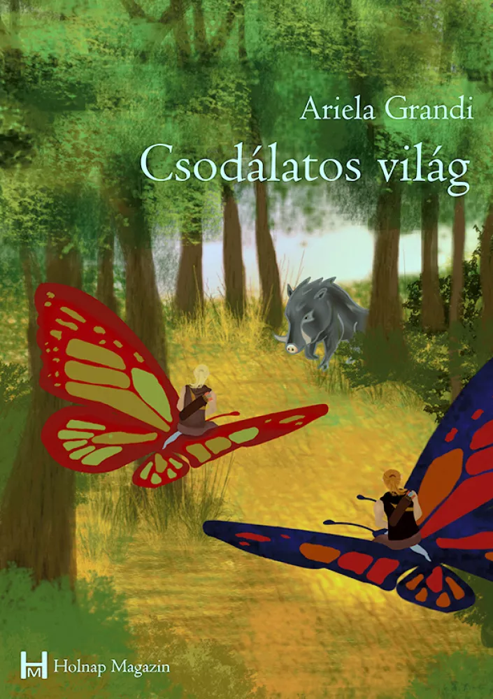 Csodálatos világ borító