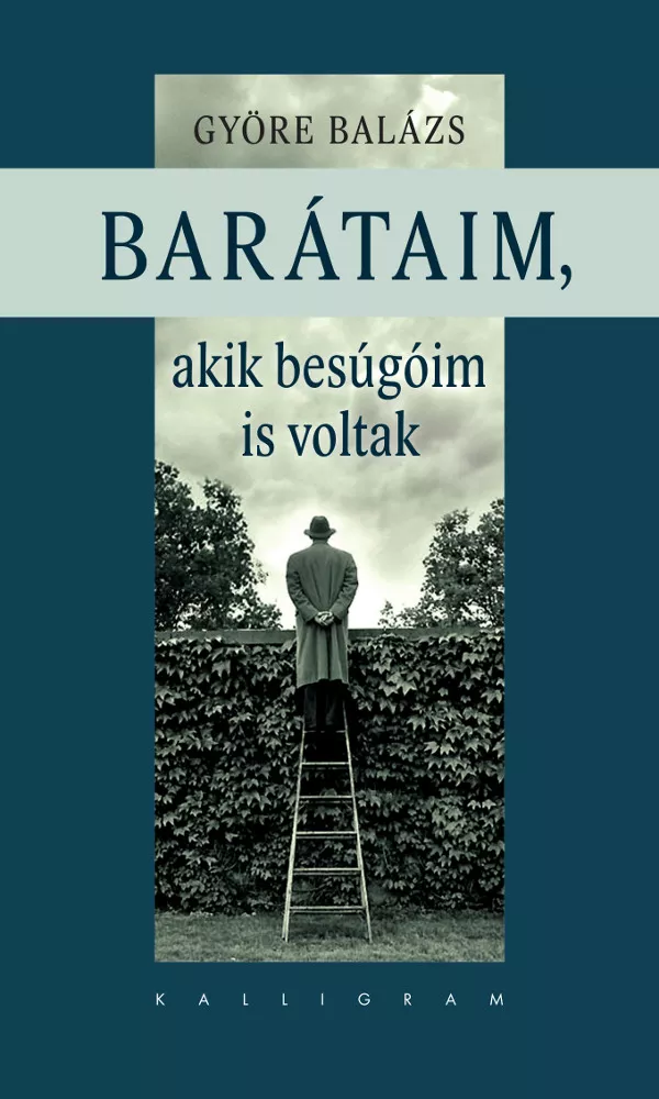 Barátaim, akik a besúgóim is voltak borító