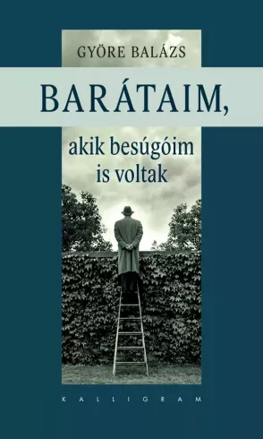 Barátaim, akik a besúgóim is voltak borító