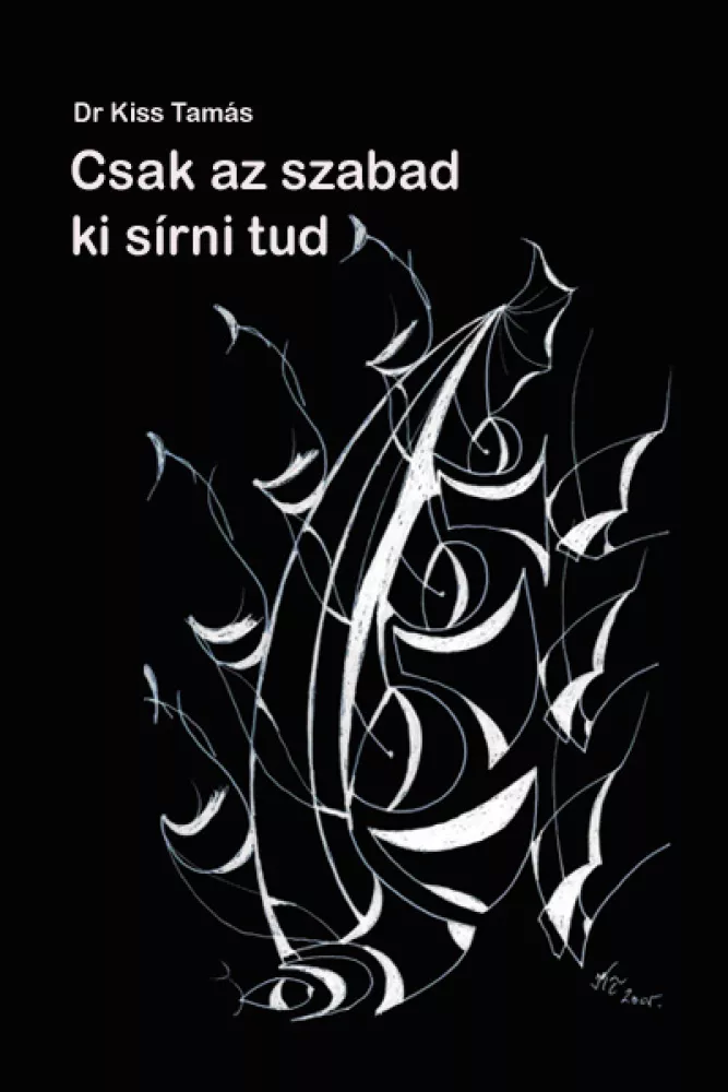 Csak az szabad ki sírni tud borító