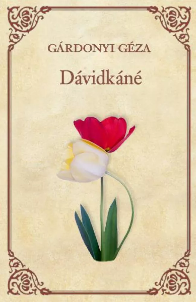 Dávidkáné - Az a hatalmas harmadik - Az öreg tekintetes borító