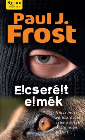 Elcserélt elmék borító