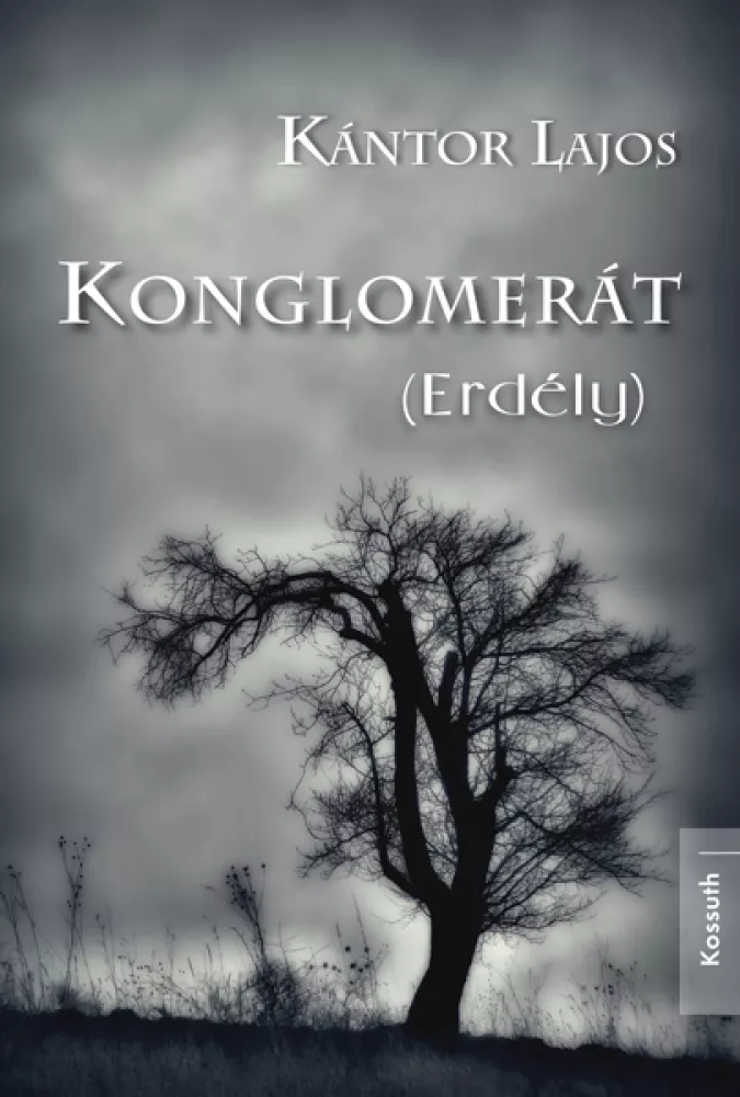Konglomerát (Erdély) borító