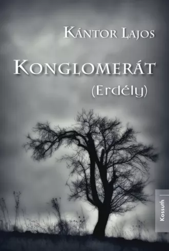 Konglomerát (Erdély) borító