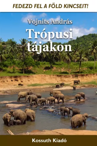 Trópusi tájakon borító