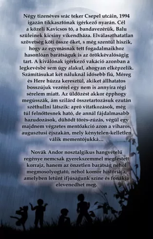 Veled tartok borító