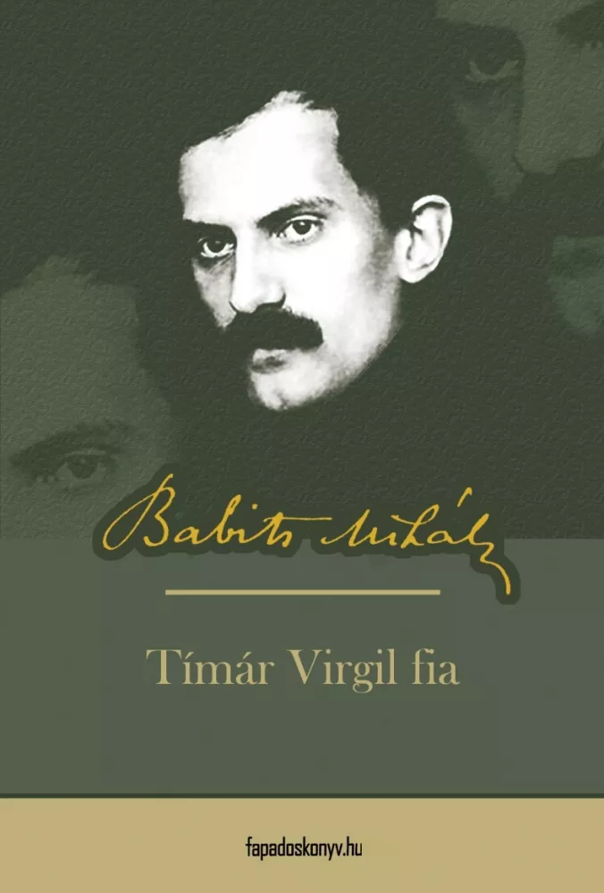 Timár Virgil fia borító