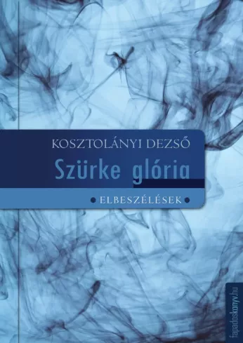Szürke glória borító