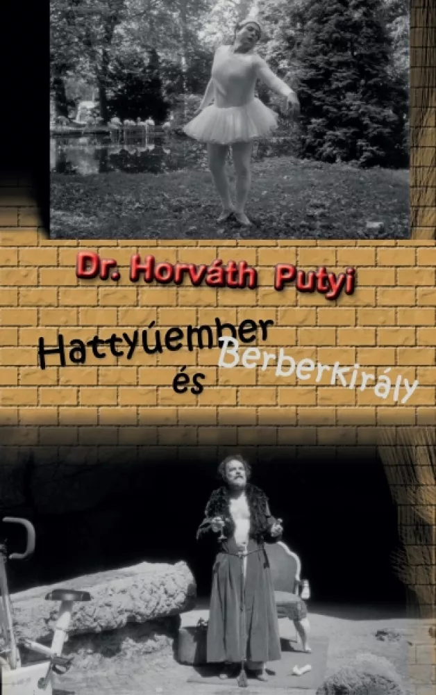 Hattyúember és Berberkirály borító