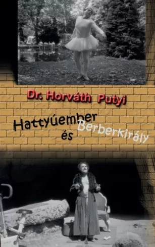 Hattyúember és Berberkirály borító