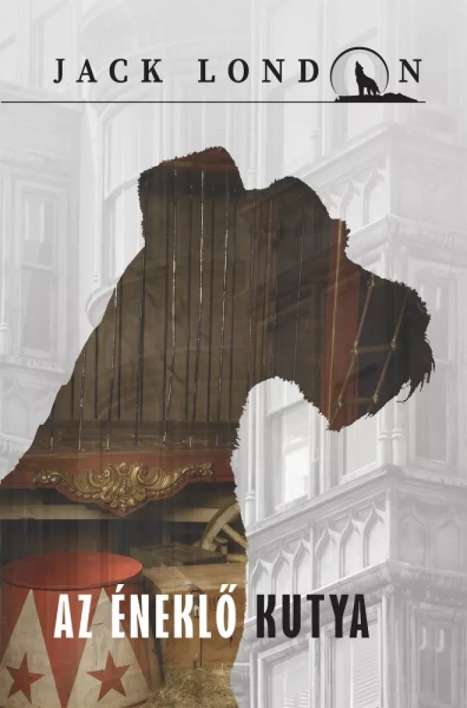 Az éneklő kutya borító