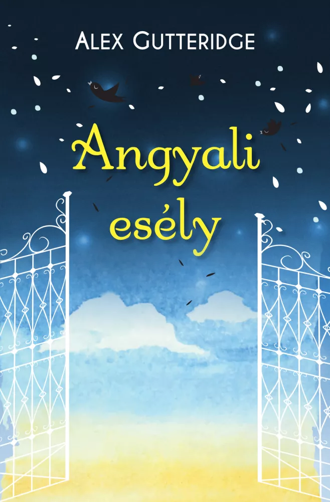 Angyali esély borító