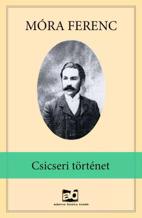 Csicseri ​történet borító