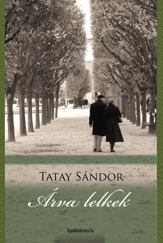 Árva lelkek borító
