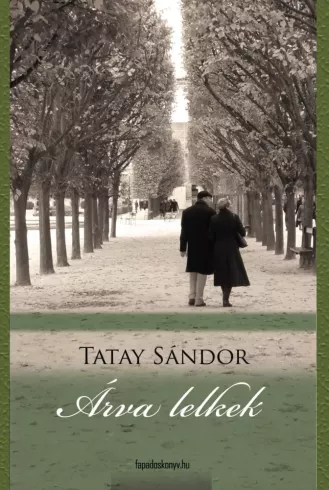 Árva lelkek borító