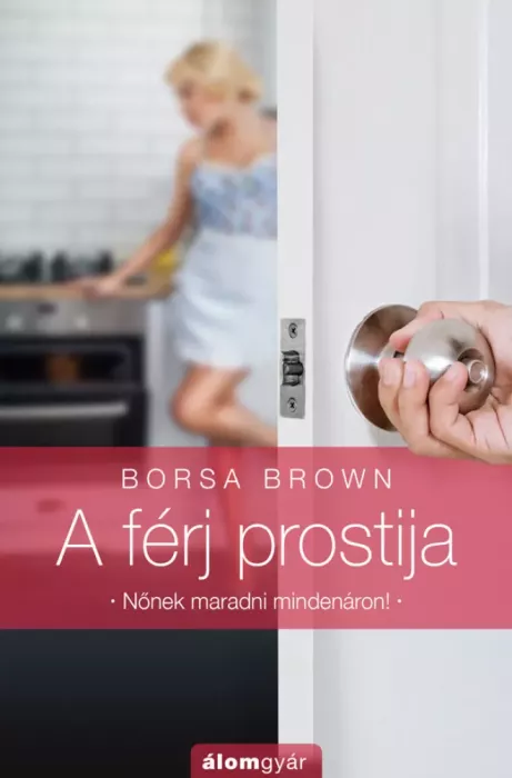 A férj prostija borító