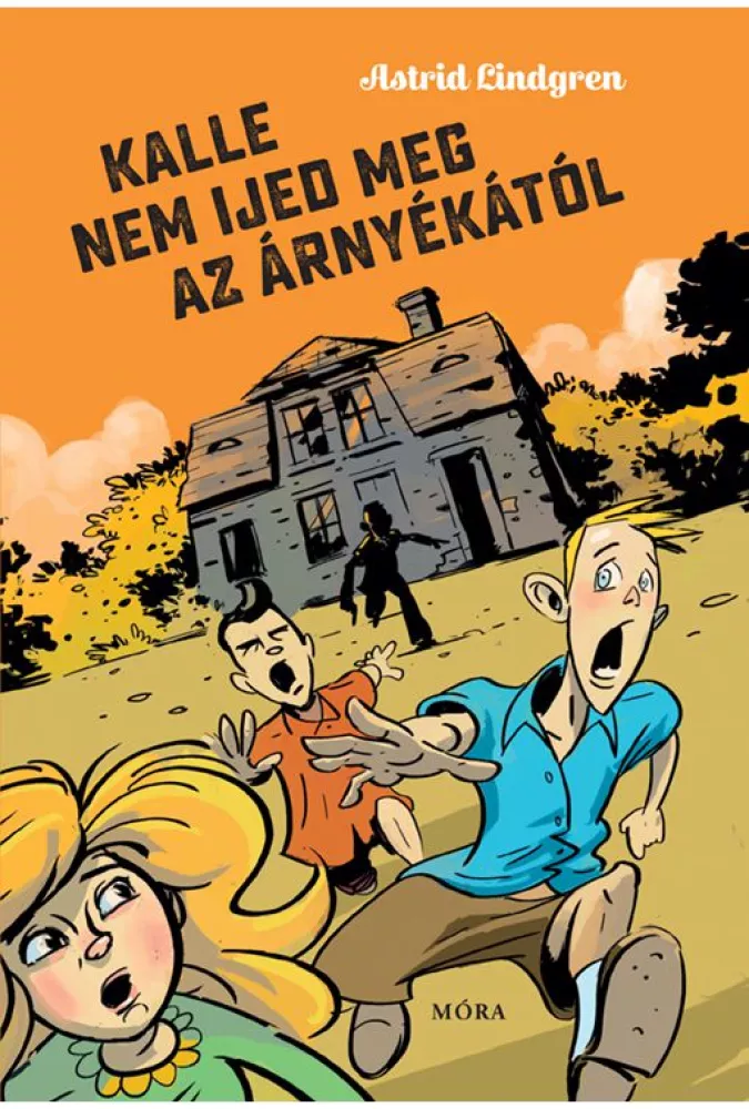 Kalle nem ijed meg az árnyékától borító