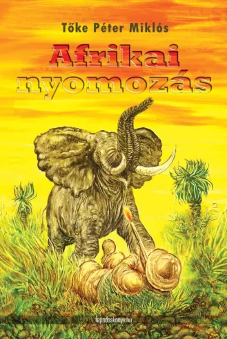 Afrikai nyomozás