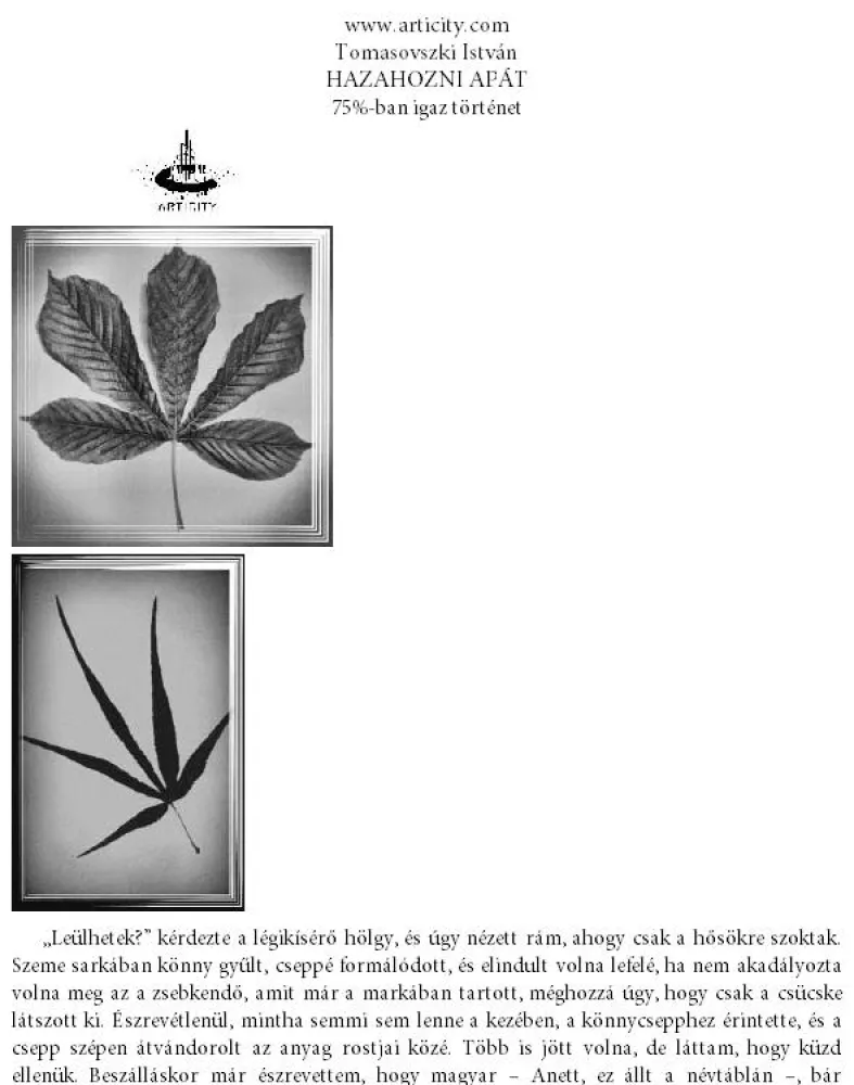 Hazahozni apát borító