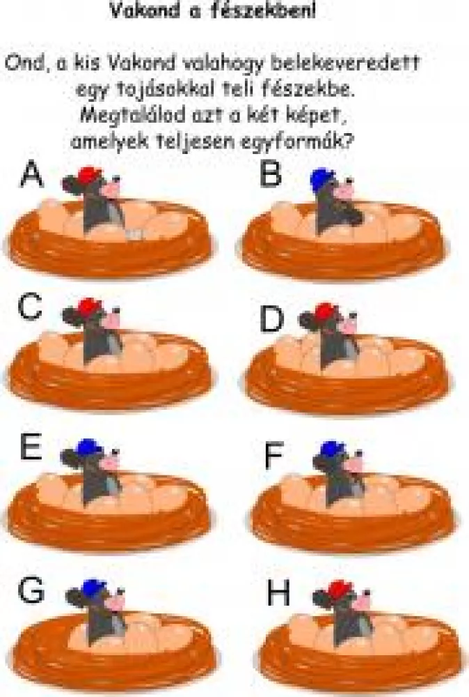 Gondolkodó - 50 játékos rejtvény az egész családnak borító