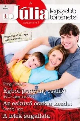 A Júlia legszebb történetei 19. borító