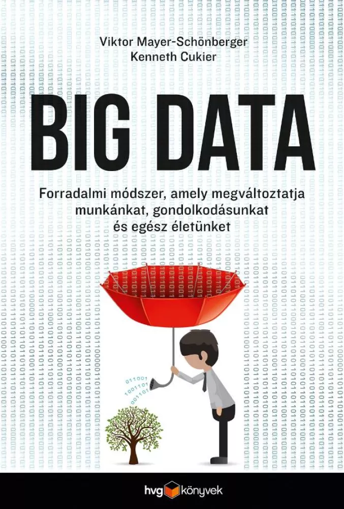 Big Data borító