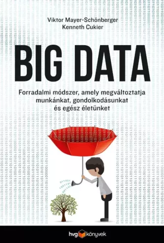 Big Data borító