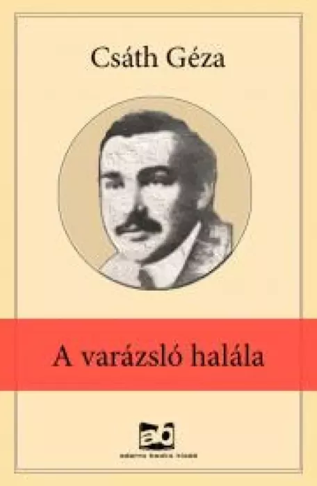 A ​varázsló halála borító
