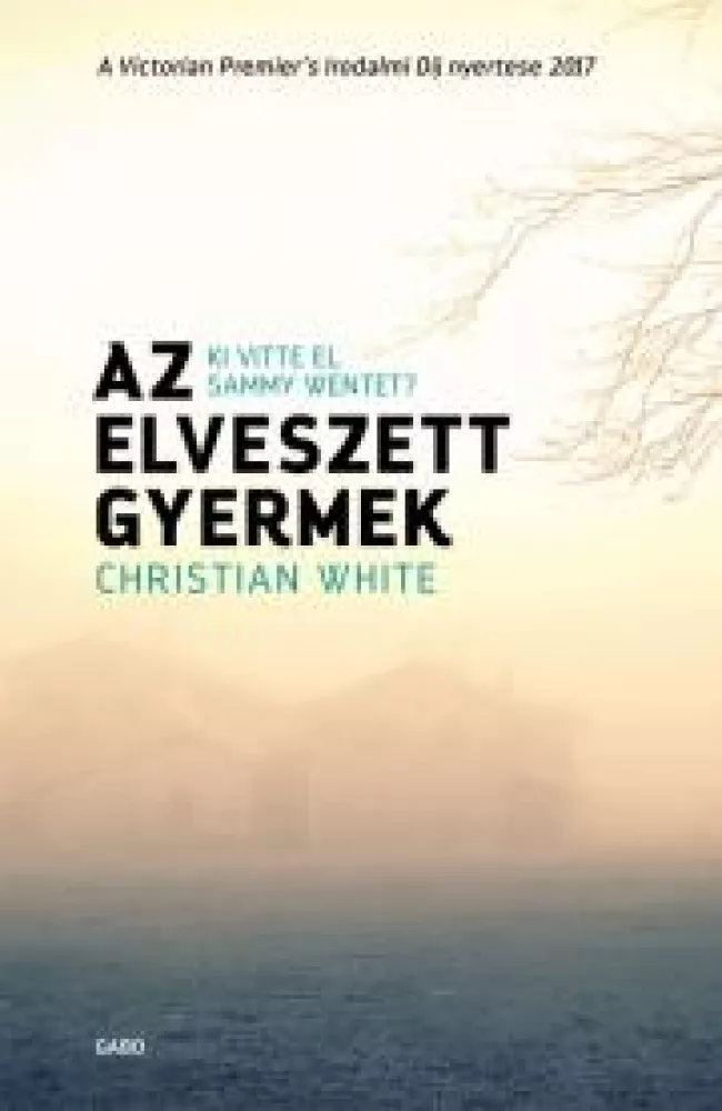 Az elveszett gyermek borító