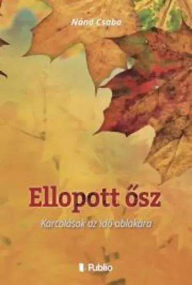 Ellopott ősz borító